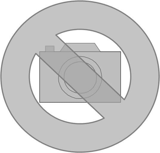 THOMAS - Kehrsaugschaufel + Einbauset, schwarz
