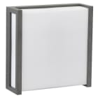 ALBERT - 1x LED 10W anthrazit 3000K 265x265x90mm IP44 770lm