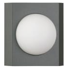 ALBERT - Wand- und Deckenleuchte Typ Nr. 6116 - Edelstahl lackiert, Farbe anthrazit