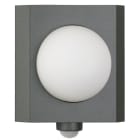 ALBERT - Wandleuchte Typ Nr. 6216 - Edelstahl lackiert Farbe anthrazit