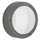 ALBERT - Wand- und Deckenleuchte, Typ Nr. 6337 - Farbe: anthrazit, 1 x LED 10 W, 900 lm
