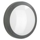 ALBERT - Wand- und Deckenleuchte, Typ Nr. 6338 - Farbe: anthrazit, 1 x LED 13 W, 1500 lm