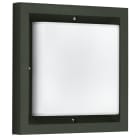 ALBERT - Wand- und Deckenleuchte Typ Nr. 6422 - Farbe: schwarz, mit 1 x LED 12 W, 1200 lm