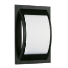 ALBERT - Wand- und Deckenleuchte Typ Nr. 6199 - Farbe: schwarz, für 1 x Lampe, E27