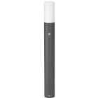 ALBERT - Pollerleuchte Typ Nr. 3078, mit BWM - Farbe: anthrazit, 1 x LED 10 W, 900 lm, mi