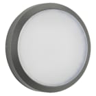 ALBERT - Wand- und Deckenleuchte Typ Nr. 6420 - Farbe: anthrazit, mit 1 x LED 24 W