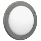 ALBERT - Wand- und Deckenleuchte Typ Nr. 6419 - Farbe: anthrazit, mit 1 x LED 12 W,1200 l