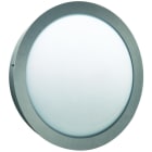 ALBERT - Wand- und Deckenleuchte Typ Nr. 6174 - Edelstahl, für 1 x Lampe, E27