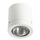 ALBERT - Deckenaufbaustrahler Typ Nr. 2140 - Farbe: weiß, für 1 x PAR 16 - 50 W, GU10