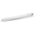 PRACHT - TAUNUS N LED DALI 185 1.2m PO 1x40W 100° 5800lm 840, SKII