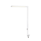 SLV - WORKLIGHT, Tischleuchte weiss 79W 4000K 80°