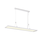 SLV - WORKLIGHT DALI, Pendelleuchte weiss 57W 4000K 80°