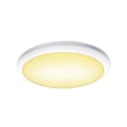 SLV - RUBA 42 CW, Outdoor LED Wand- und Deckenaufbauleuchte weiss CCT switch 3000/4000K