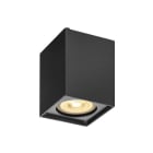 SLV - ALTRA DICE CL, Indoor Wand- und Deckenaufbauleuchte, QPAR51, schwarz