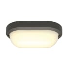 SLV - TERANG 2 Wand- und Decken- leuchte, oval,  anthrazit, 3000K, IP44