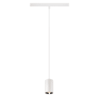 SLV - NUMINOS® XS 48V TRACK DALI, Pendelleuchte, weiß / chrom, 8.7W, 650lm, 2700K, CRI90, 40°