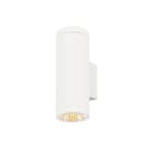 SLV - HELIA PRO L, Wandaufbauleuchte, single, DALI, P1, zylindrisch, 2700K, 10W, 24°, ws