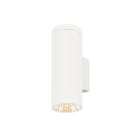 SLV - HELIA PRO L, Wandaufbauleuchte, single, DALI, P2, zylindrisch, 2700K, 15W, 24°, ws