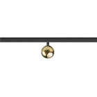 SLV - DYSKO, 48V Spot, DALI, standard surface mounted track, 2700K, 5.6W, 36°, sw/gold