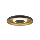 SLV - MOTUNA, CW, PHASE, Wand- und Deckenaufbauleuchte, rund, 2700 K, 10 W, 130°, schwarz / goldfarben