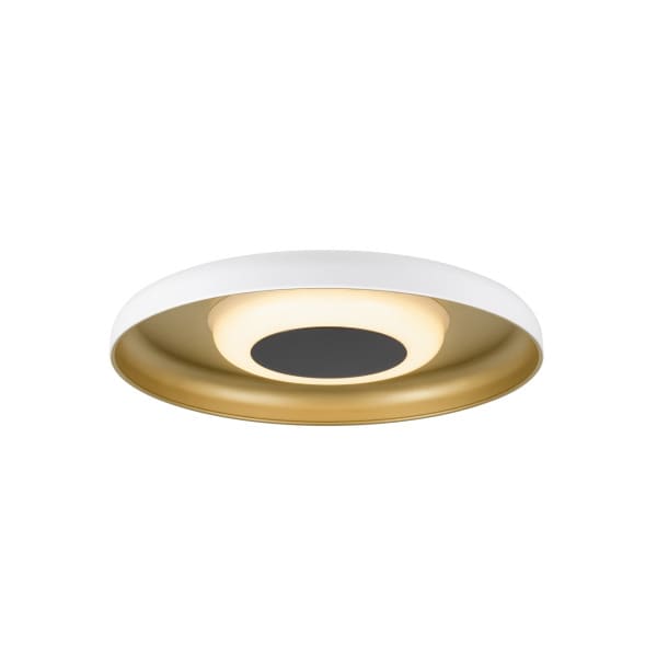 SLV - MOTUNA, CW, PHASE, Wand- und Deckenaufbauleuchte, rund, 2700 K, 10 W, 130°, weiß / goldfarben
