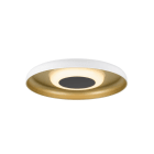 SLV - MOTUNA, CW, PHASE, Wand- und Deckenaufbauleuchte, rund, 2700 K, 10 W, 130°, weiß / goldfarben