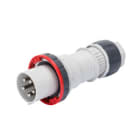 GEWISS - IEC Stecker gerade 400V 125A 6h 4P IP67
