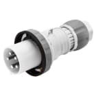 GEWISS - IEC Stecker gerade 500V 125A 7h 3P IP67