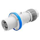 GEWISS - IEC Stecker gerade 230V 63A 9h 5P IP44