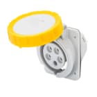 GEWISS - IEC Anbausteckdose 10° 110V 32A 4P 4H IP67