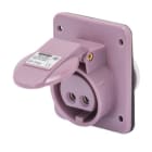 GEWISS - IEC Anbausteckdose 10° 24V 10° 16A 2P IP44