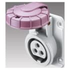GEWISS - IEC Anbausteckdose 10° 24V 16A 2P IP67