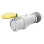 GEWISS - IEC Kupplung gerade 110V 63A 4h 4P IP44
