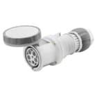 GEWISS - IEC Kupplung gerade >50-250V 63A 3h 3P IP67