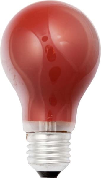 SCHARNBERGER+HASENBEIN - Allgebrauchsglühlampe B 60x105mm E27 230V 25W rot