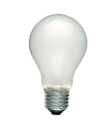 SCHARNBERGER+HASENBEIN - Allgebrauchslampe B 60x105mm E27 24V 25W matt