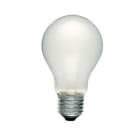 SCHARNBERGER+HASENBEIN - Allgebrauchslampe B 60x105mm E27 24V 40W matt