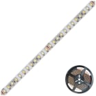 EVN - LED-Strip IP54 24V 19,2W/m max. 1080lm/m 120LED/m 5m WW-CW