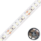 EVN - LED-Strip IP67 24V/DC 19,2W/m 1220lm/m 120LED/m 5m 6000K