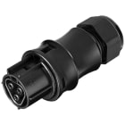 EVN - Buchse für IP65-Stecksystem, 3-polig