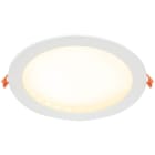 EVN - LED EB-Panel rund weiß IP20 21W 3000K 1600lm 350mA