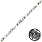 EVN - LED-Strip IP20 24V 19,2W/m max. 1300lm/m 120LED/m 5m WW-CW