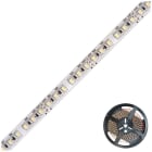 EVN - LED-Strip IP54 24V 19,2W/m max. 1105lm/m 120LED/m 5m WW-CW