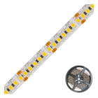 EVN - LED-Strip IP54 24V/DC 20W/m 2300lm/m 180LED/m 5m 4000K