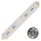 EVN - LED-Strip IP68 24V/DC 19,2W/m max. 560lm/m 60LED/m 5m RGB+W