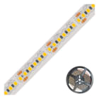 EVN - LED-Strip IP68 24V/DC 20W/m 2000lm/m 180LED/m 5m 4000K