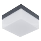 EVN - LED Wand-ABL  - anthrazit IP54 220-240V 9W 4000K 740lm