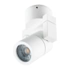 EVN - Decken- und Wand Anbauspot, IP54