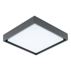 EVN - LED Anbauleuchte, IP54