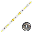 EVN - LED-Strip - IP20 - 24V/DC - 9,6W/m - 710lm/m - 240LED/m